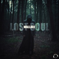Lost Soul - Single - Wallace