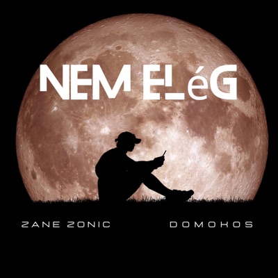 Nem elég (feat. Domokos) - Single