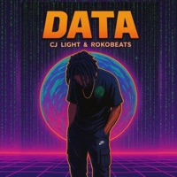 DATA (feat. Roko Beats) - Single - Cj Light