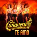 Te Amo