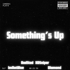 Something's Up (feat. Diamond, ImNotBlue & XDSniper) BadStad