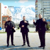 Këngë për Havzi Nelën (feat. Perlat Sheqeri & Dritan Jashari) - Single - Nexhip Dida