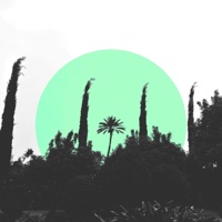 BSD - Single - Aqua Coretta