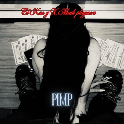 PIMP (feat. Mark Playmore) - Single