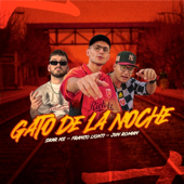 Gato de la noche