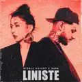Liniste