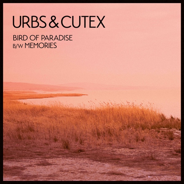 Bird Of Paradise / Memories - Single