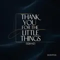 Thank You for the Little Things