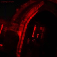 Coffin For Two - Single - hangingskeletons