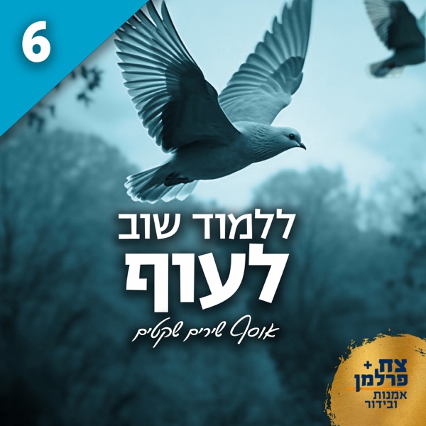 ללמוד שוב לעוף 6