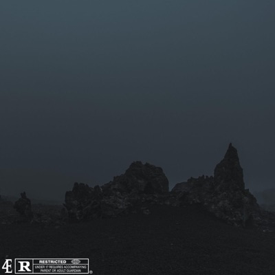 30 Problems (feat. FLAWLESS PRODIGY) - Single