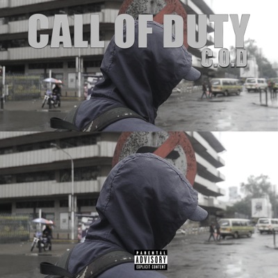 Call Of Duty - Single