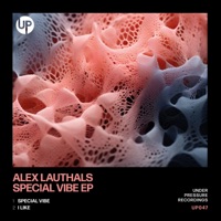 Special Vibe - Single - Alex Lauthals