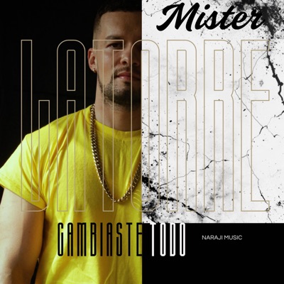 Cambiaste todo - Single