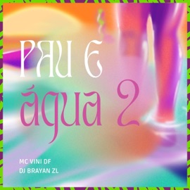 Pau e água 2 MC Vini DF & DJ BRAYAN ZL