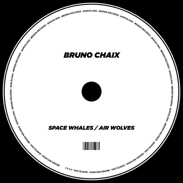 Space Whales / Air Wolves - Single