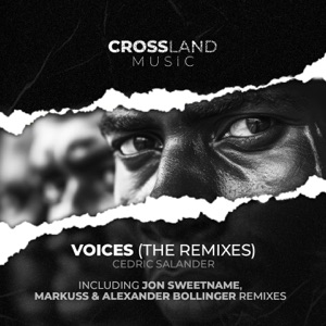 Voices (The Remixes) - Single