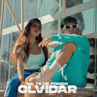 No Te He Podido Olvidar - Single - Low Blu