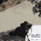 ‎‧₊˚✧ s l o w p u l p ✧˚₊‧ - Kyle McEvoy, wowflower & The Field Tapes lyrics