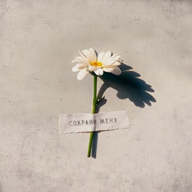 Сохрани меня SVETA LOVA