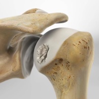 sling (feat. notcrook) - Single - favor