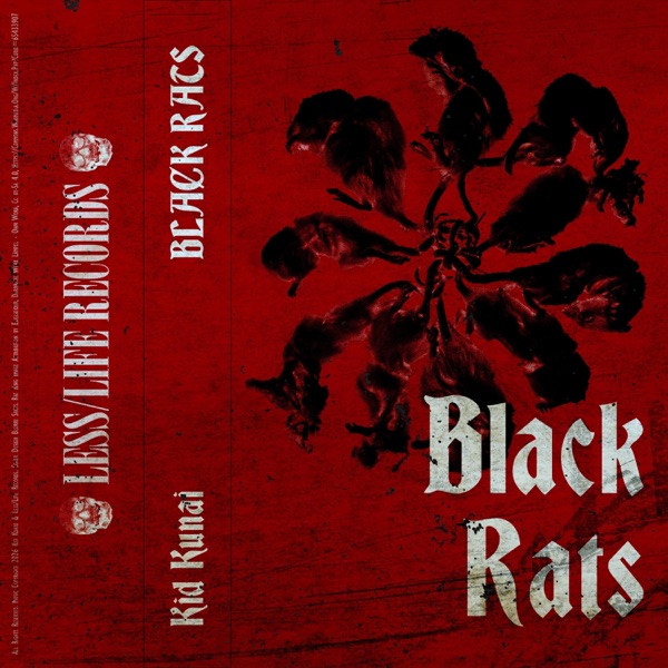 BLACK RATS