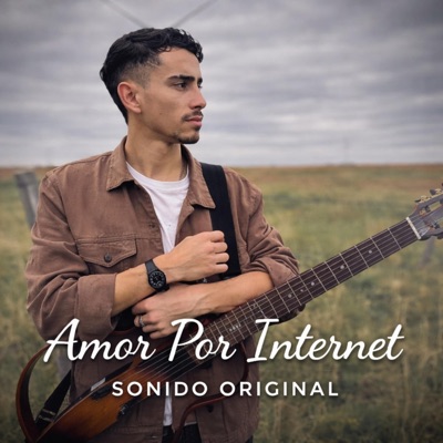 Amor Por Internet - Single