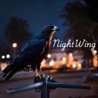 NightWing - Single - Sage Mode Myrio