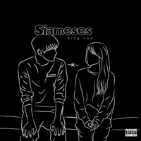 Siameses - Single - King Loe