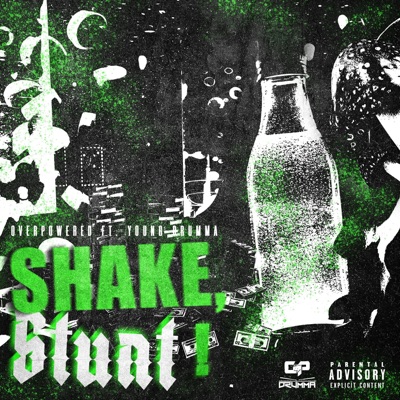 Shake, Stunt! (feat. Young Drumma) - Single