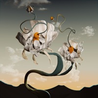 Can We Roll Back - Single - Evan Miles & Rikshaw