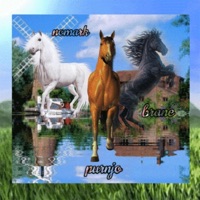 OBOW - Single - Nomark