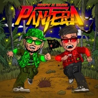 Album cover for Pantera by Rvfv & Duki