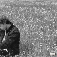 Never Wanted - Single - Alvin Cedric