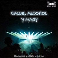 Calle, Alcohol y Mary (feat. Die421 & Emeyvy) - Single - Tinone999