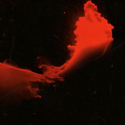 Introspection (feat. Nicolò Ricci, Jonathan Szegedi & Burak Irmak) - Single