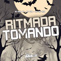 Ritmada Tomando na Xana - Single - Dj Aka Df, DJ Gab & MC VN Cria