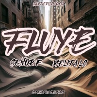 Fluye (feat. Melita LC) - Single - Señor F