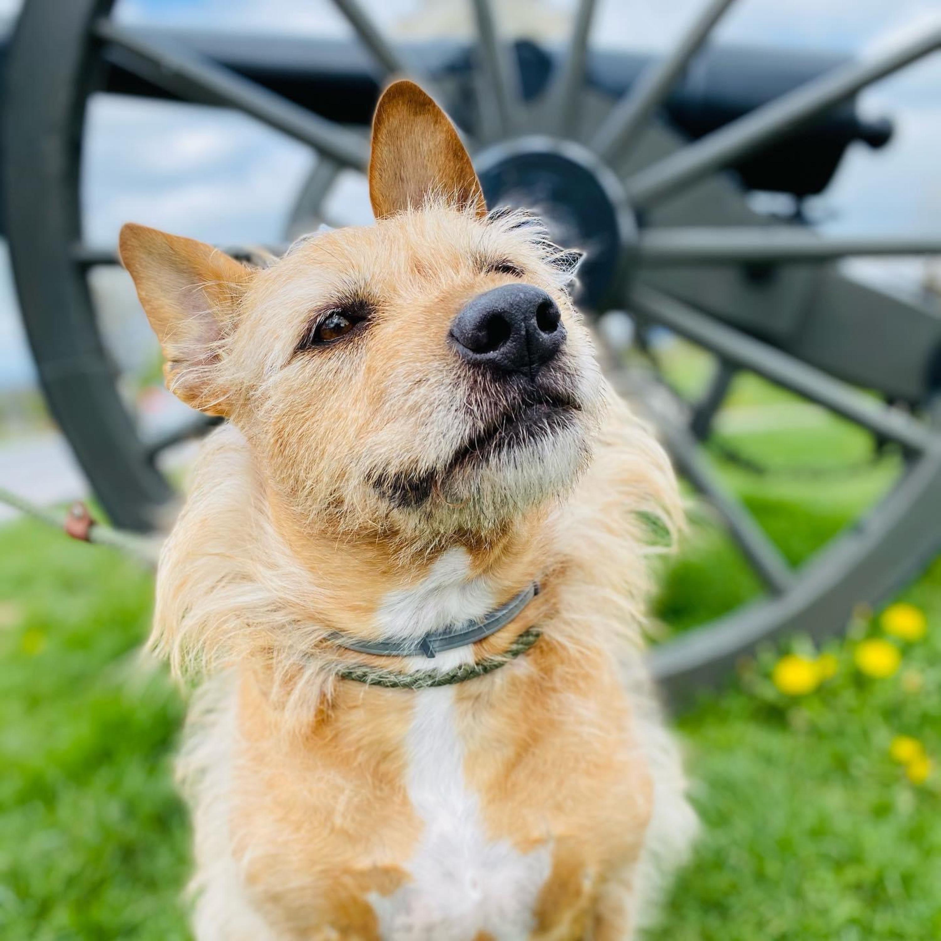 Waiting (So Long) - Single