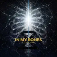 In My Bones — Silent Theory