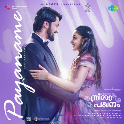 Payaname (From "Seetha Payanam") - Single