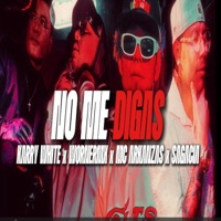 No me digas (feat. WornerMx, MC Arkanzas & Sagacia) - Single - Karry White
