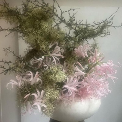 I dont want to fall.wav - Single