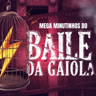 MEGA_MINUTINHOS_DO_BAILE DA GAIOLA - Single