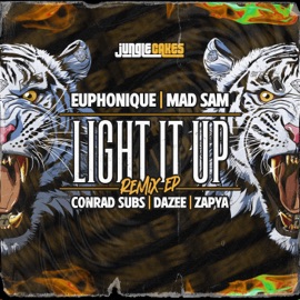 Light It Up (Conrad Subs Remix) Euphonique & Mad Sam