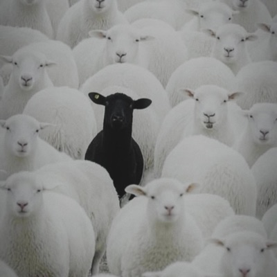 salute me or shoot me