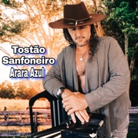 Arara Azul (Ao Vivo) - Single - Tostão Sanfoneiro