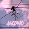 anodyne - YirMar lyrics