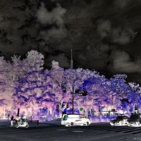 won't look back - Single - Activist24