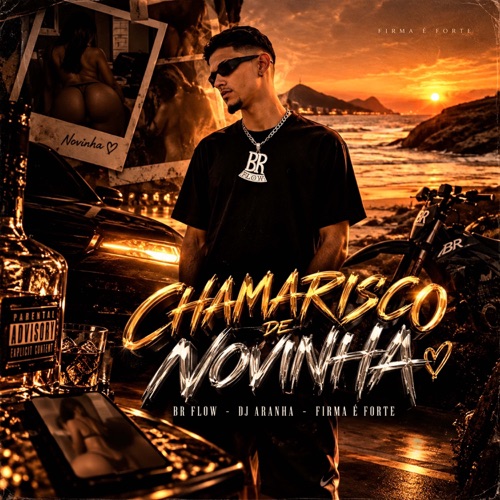 Chamarisco de Novinha - Single